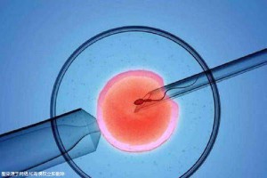 拉拉供卵服务微信群
